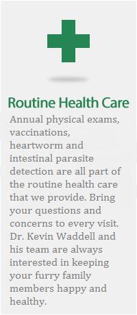 routine health care